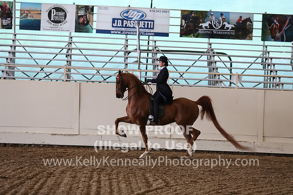 CA_Springfest19_FriPM_0639