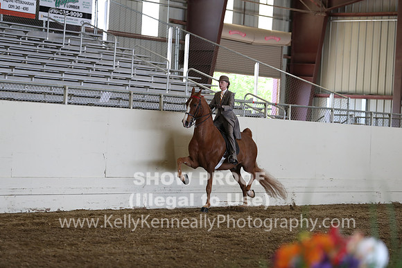 CA_Springfest19_FriPM_0484