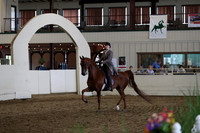 CA_Springfest19_FriPM_0489