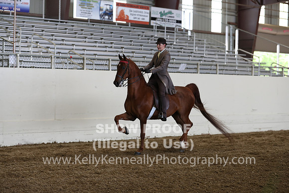 CA_Springfest19_FriPM_0491