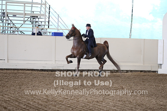 CA_Springfest19_FriPM_0346
