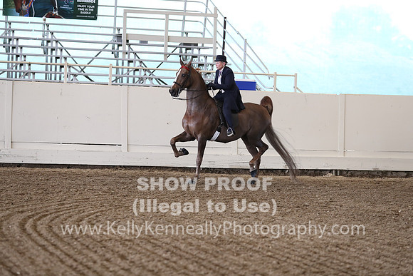 CA_Springfest19_FriPM_0347