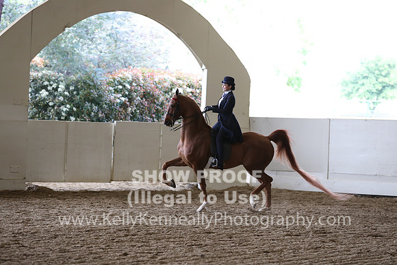 CA_Springfest19_FriPM_0641