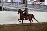 CA_Springfest19_FriPM_0492
