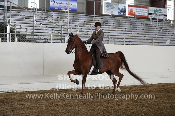 CA_Springfest19_FriPM_0492
