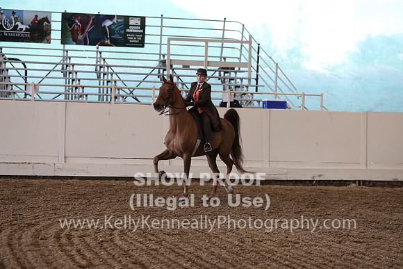 CA_Springfest19_FriPM_0649