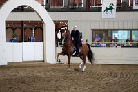 CA_Springfest19_FriPM_0494