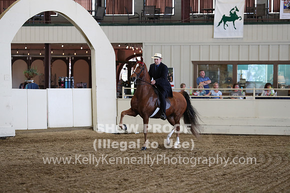 CA_Springfest19_FriPM_0494
