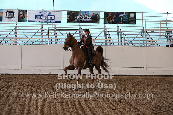 CA_Springfest19_FriPM_0651