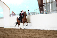 CA_Springfest19_FriPM_0498