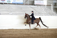 CA_Springfest19_FriPM_0353