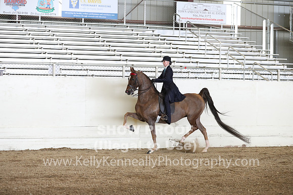 CA_Springfest19_FriPM_0353