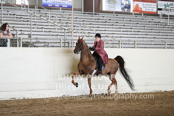 CA_Springfest19_FriPM_0355