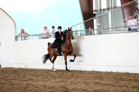 CA_Springfest19_FriPM_0499
