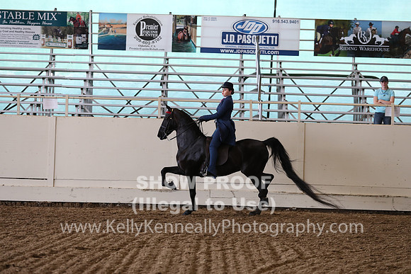CA_Springfest19_FriPM_0657