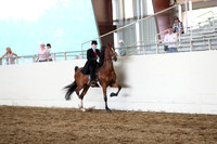 CA_Springfest19_FriPM_0500