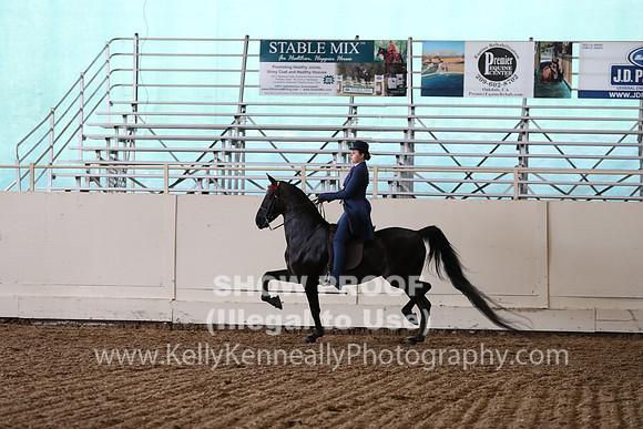 CA_Springfest19_FriPM_0658