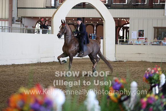 CA_Springfest19_FriPM_0359