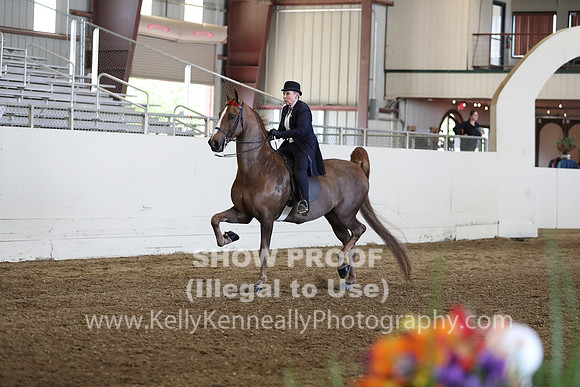 CA_Springfest19_FriPM_0360
