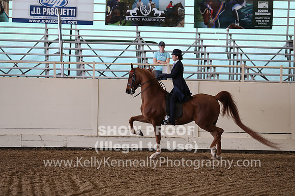 CA_Springfest19_FriPM_0659