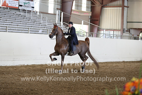 CA_Springfest19_FriPM_0361