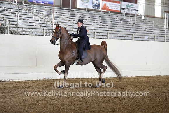 CA_Springfest19_FriPM_0362