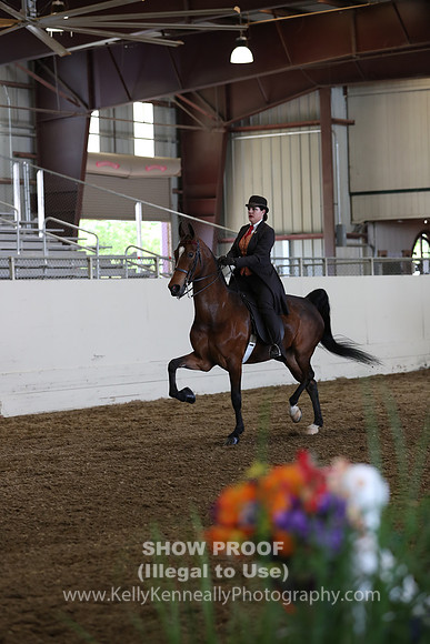 CA_Springfest19_FriPM_0660