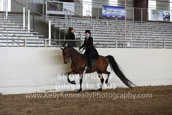 CA_Springfest19_FriPM_0663