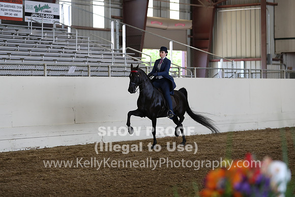 CA_Springfest19_FriPM_0665