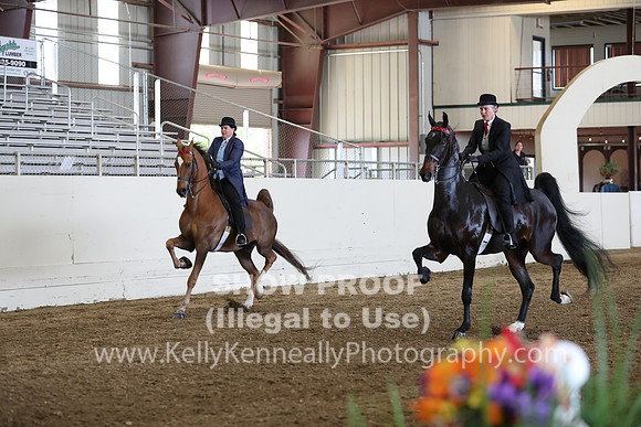 CA_Springfest19_FriPM_0364