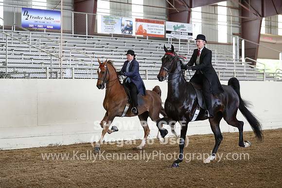 CA_Springfest19_FriPM_0366