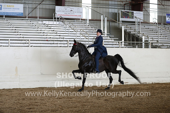 CA_Springfest19_FriPM_0667