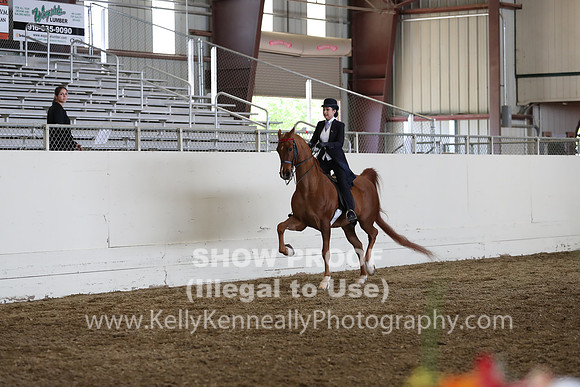 CA_Springfest19_FriPM_0668