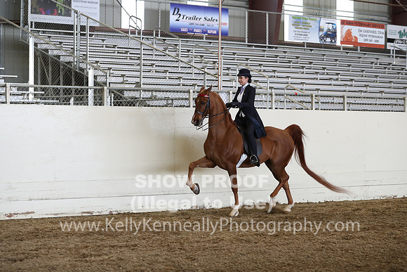 CA_Springfest19_FriPM_0669