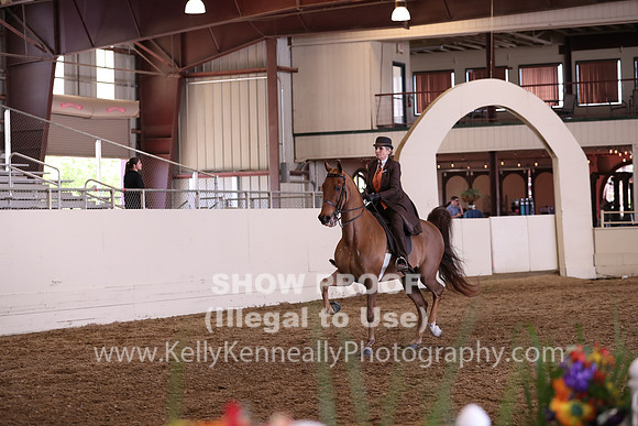 CA_Springfest19_FriPM_0673
