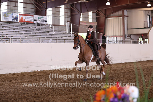 CA_Springfest19_FriPM_0674