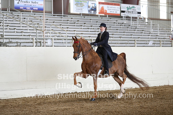 CA_Springfest19_FriPM_0377