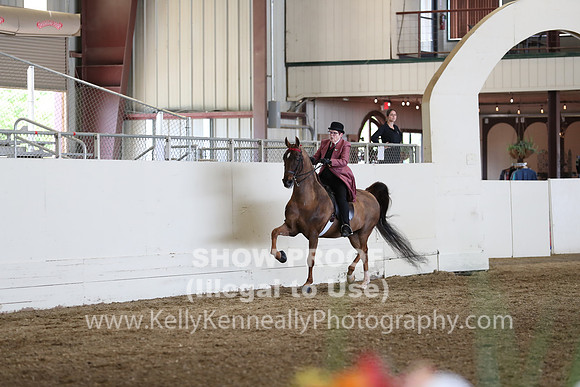 CA_Springfest19_FriPM_0378