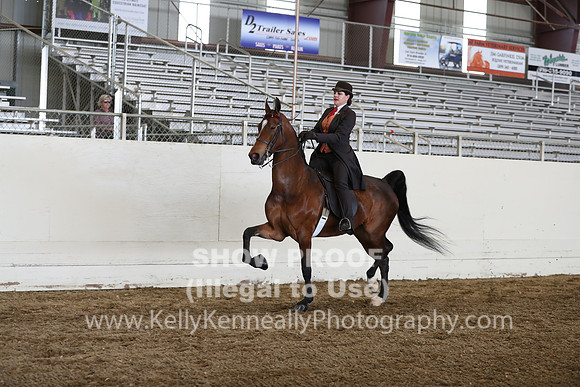 CA_Springfest19_FriPM_0679