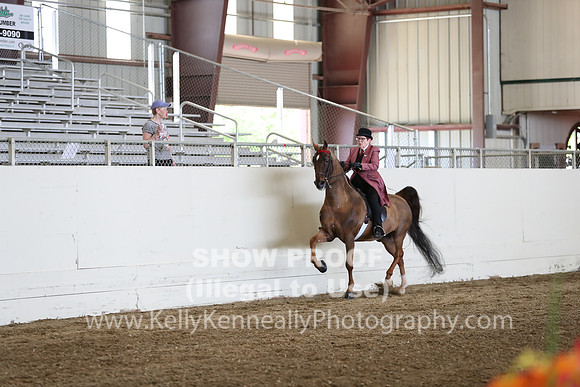 CA_Springfest19_FriPM_0380