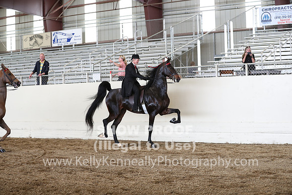 CA_Springfest19_FriPM_0382