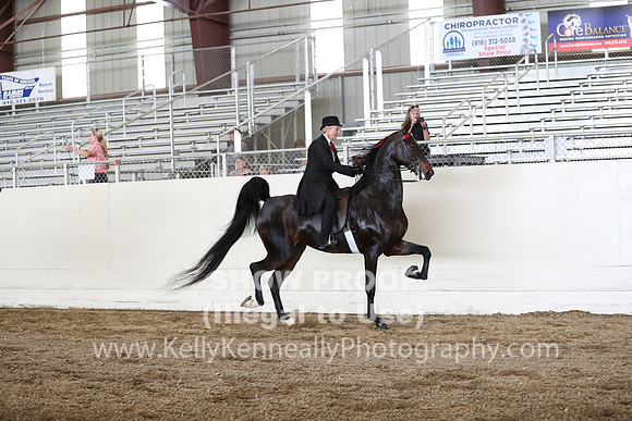 CA_Springfest19_FriPM_0383