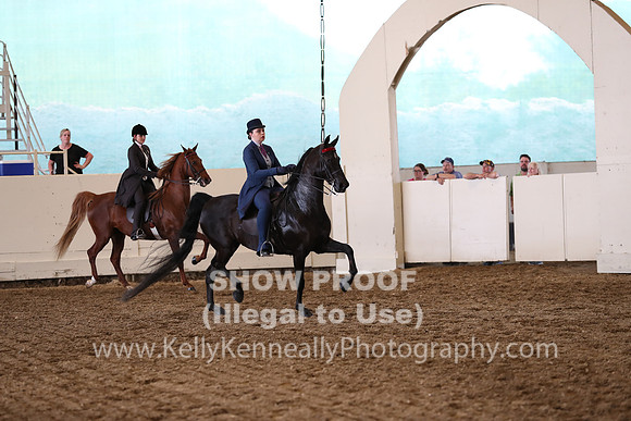 CA_Springfest19_FriPM_0690
