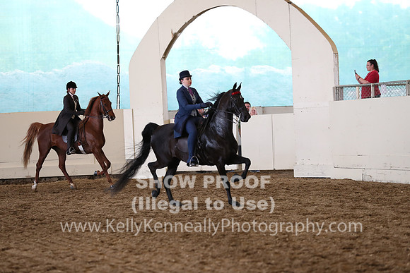 CA_Springfest19_FriPM_0691