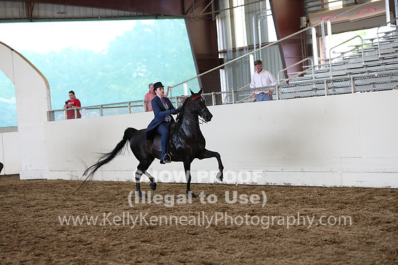 CA_Springfest19_FriPM_0692