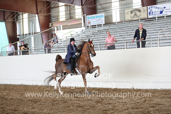 CA_Springfest19_FriPM_0387