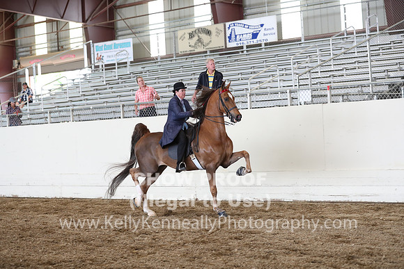 CA_Springfest19_FriPM_0388