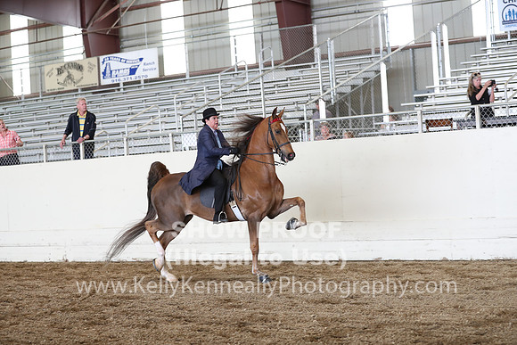 CA_Springfest19_FriPM_0389