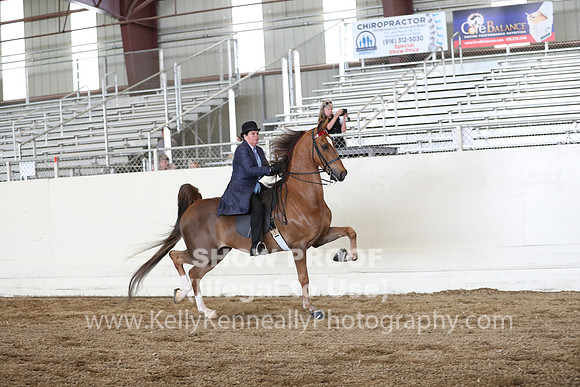 CA_Springfest19_FriPM_0390