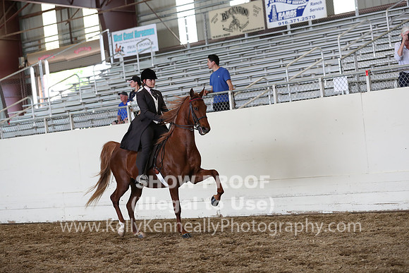 CA_Springfest19_FriPM_0697